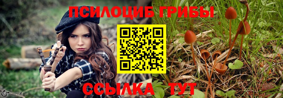 Галлюциногенные грибы Cubensis Конаково