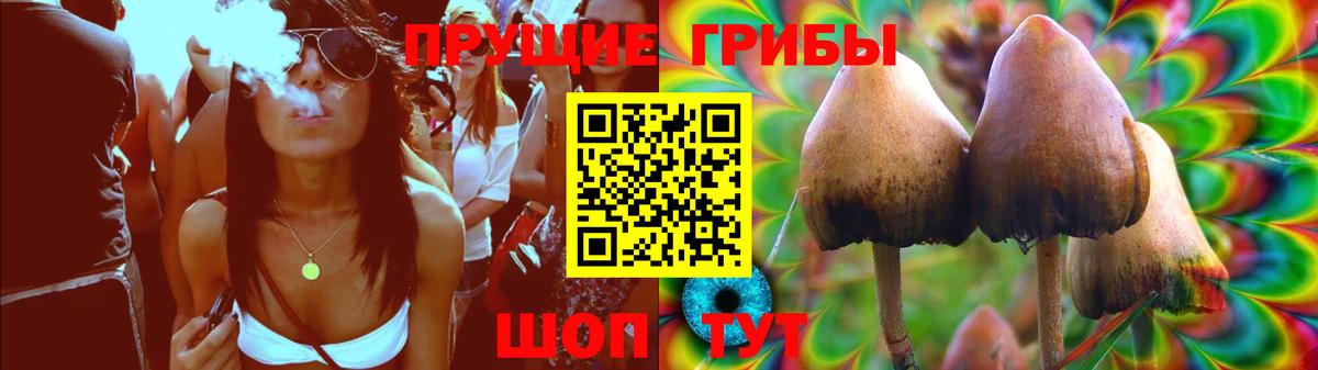 Конаково  Псилоцибиновые грибы Psilocybine cubensis  где продают наркотики  Вход с VPN 